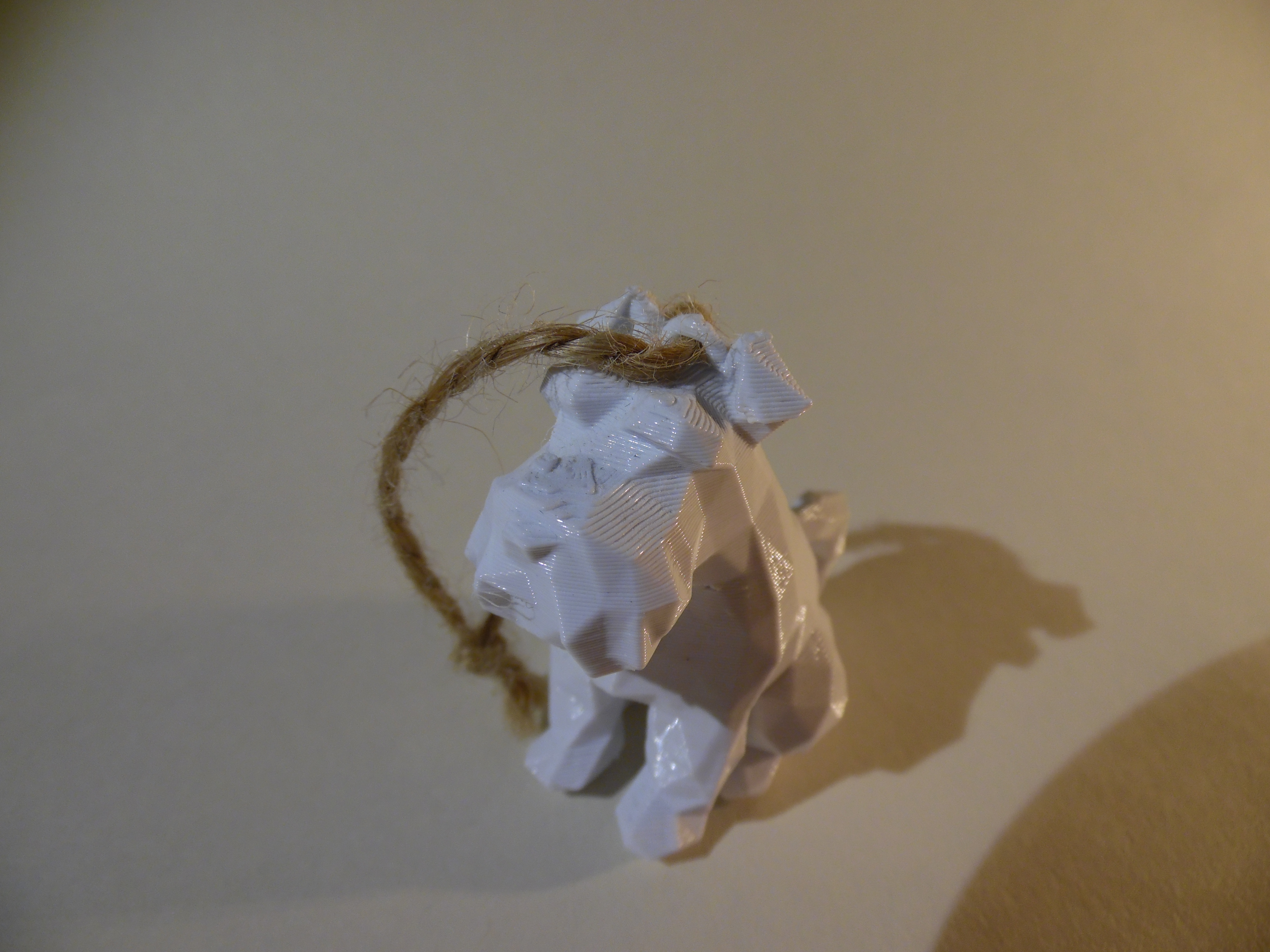 Miniature Schnauzer from the top